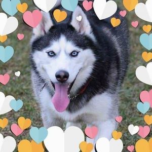 Meet your Posher, Alicia